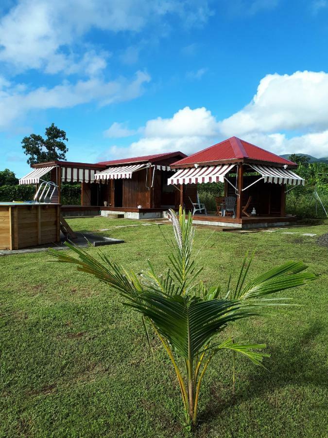 Le "Bwa ' Kao" Villa Capesterre-Belle-Eau Exteriör bild