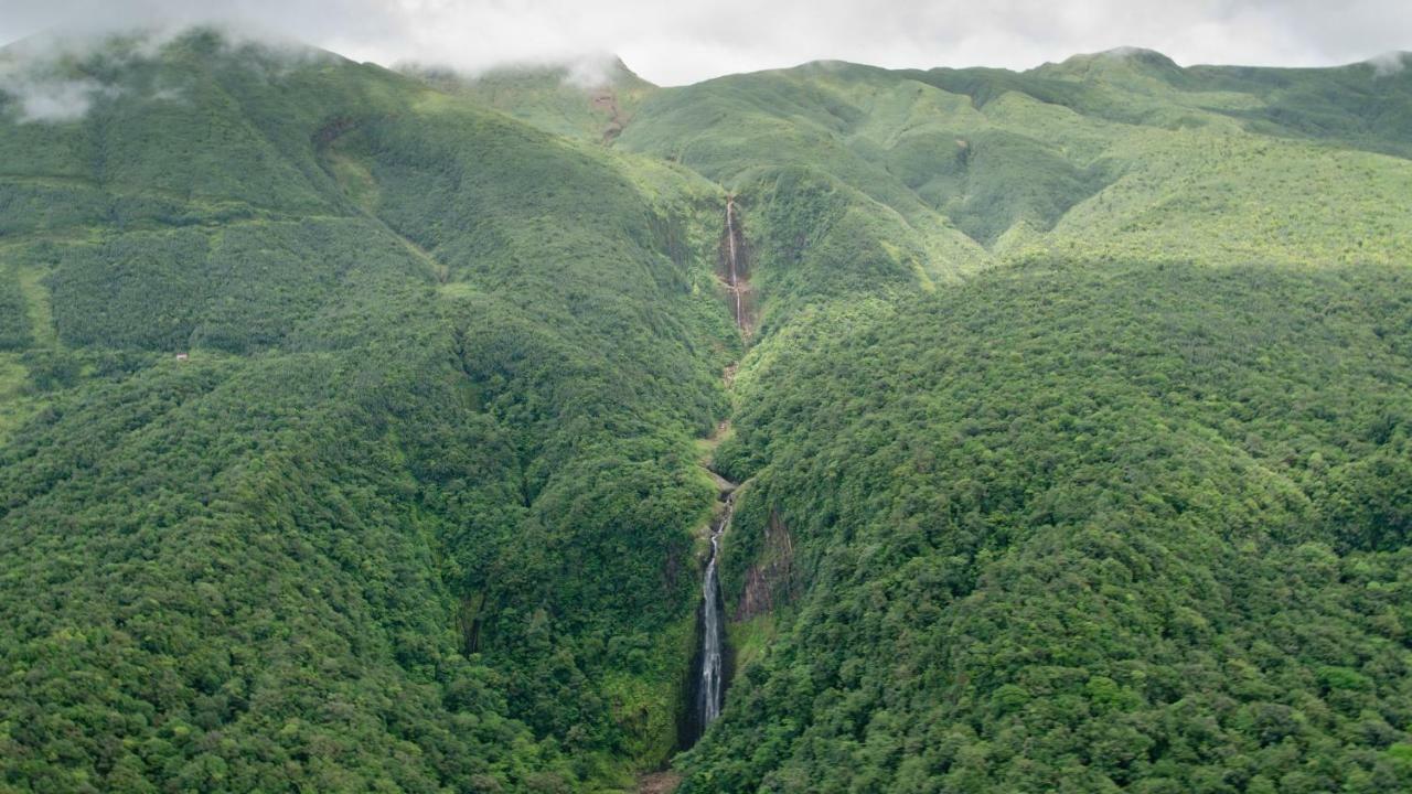 Le "Bwa ' Kao" Villa Capesterre-Belle-Eau Exteriör bild