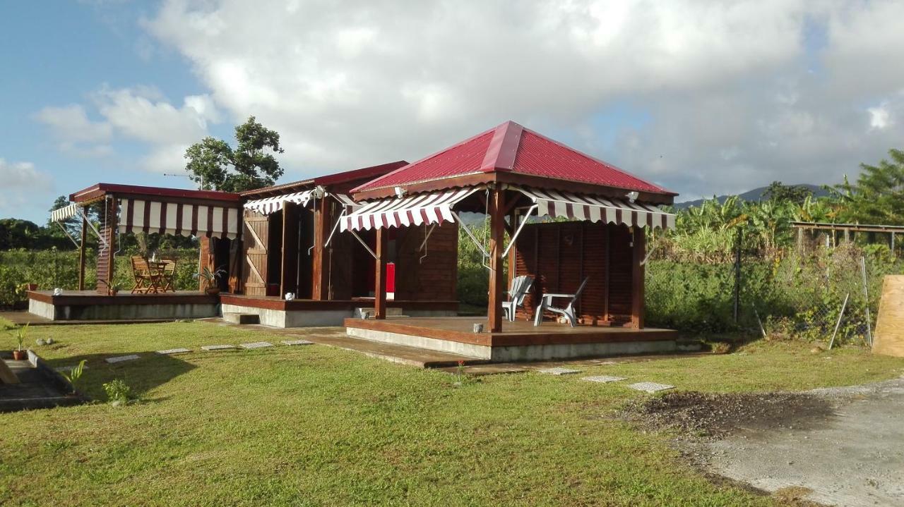 Le "Bwa ' Kao" Villa Capesterre-Belle-Eau Exteriör bild